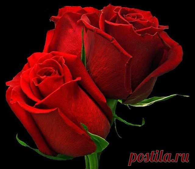 getImage (640×554)