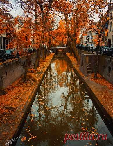 Autumn Romance