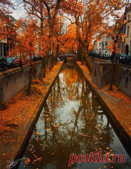 Autumn Romance