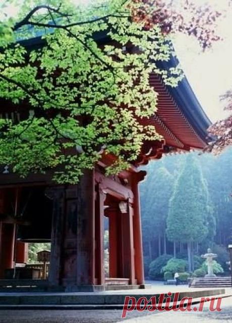 «Тысячедневное испытание» — одно из самых... - Мудрость Востока