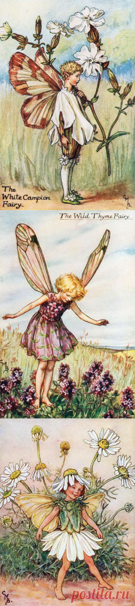 Добро пожаловать в мир Цветочных фей! Художница Cicely Mary Barker. Часть 6.