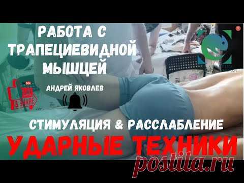 #МАССАЖ трапециевидной мышцы. УДАРНЫЕ ТЕХНИКИ в массаже. Потряхивание. Андрей Яковлев