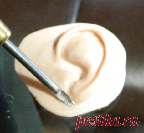 Поэтапная лепка уха – 17 фотографий