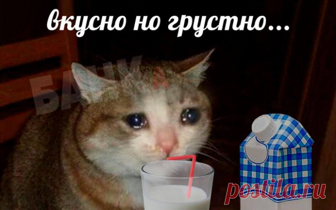 🍼 В России взлетят цены на молоко. Его стоимость вырастет на 10% , прогнозируют в Фин. университете при Правительстве РФ (так вот на кой он нужен). На это повлияют рост тарифов на ЖКУ и электроэнергию, затраты на логистику, ветеринарные препараты, упаковку и зарплаты работников.