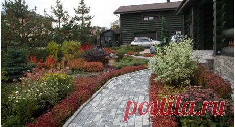 10 советов по созданию палисадника | Самоцветик
