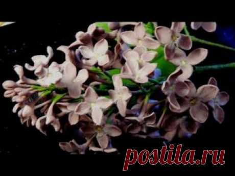Сирень из холодного фарфора / How to make a lilac from a cold porcelain