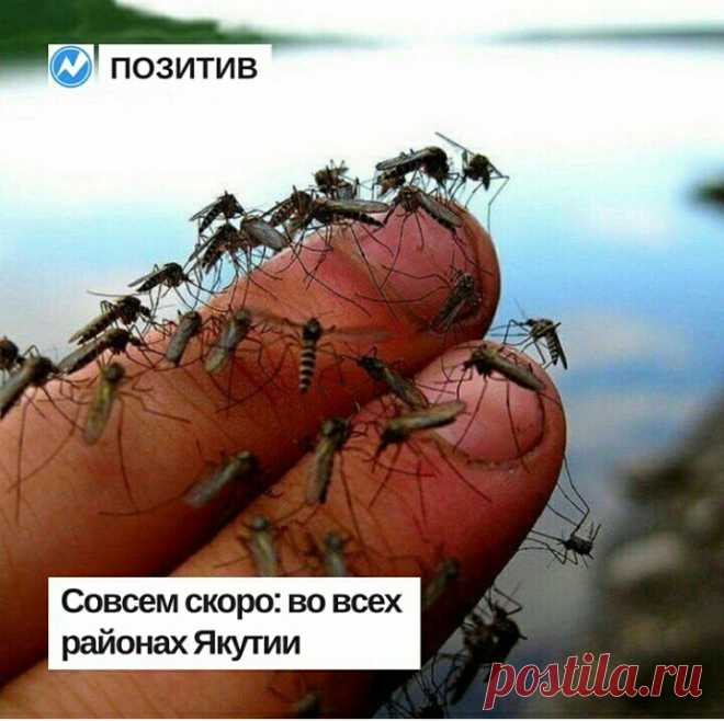 скоро скоро...а пока...снег идёт...