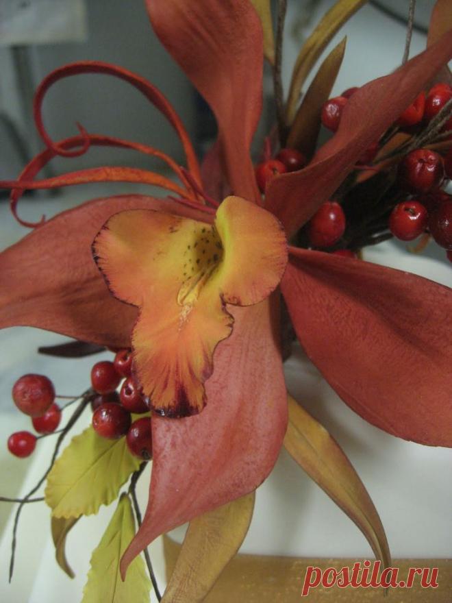 Carlos Lischetti: Orchid - Orquídea