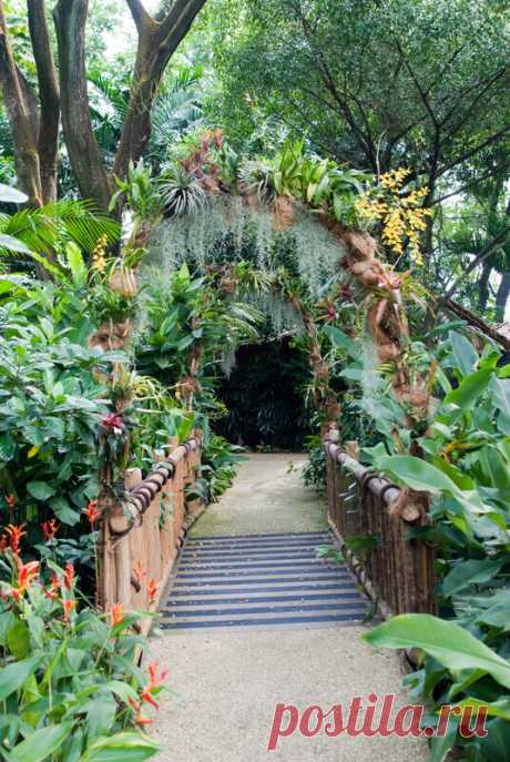 Landscaping Ideas: Backyard & Front Yard Decor (DESIGNS)