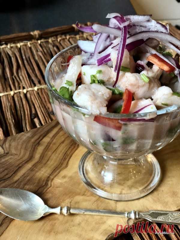 Севиче от Филиппа – Вся Соль - кулинарный блог Ольги Баклановой