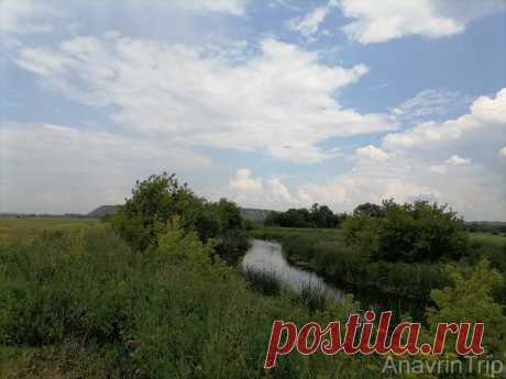 Самая ценная пойманная рыба, меловые Дивы, родина подсолнечного масла... Чем еще интересна река Тихая Сосна? | AnavrinTrip | Яндекс Дзен