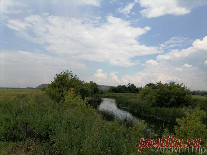 Самая ценная пойманная рыба, меловые Дивы, родина подсолнечного масла... Чем еще интересна река Тихая Сосна? | AnavrinTrip | Яндекс Дзен