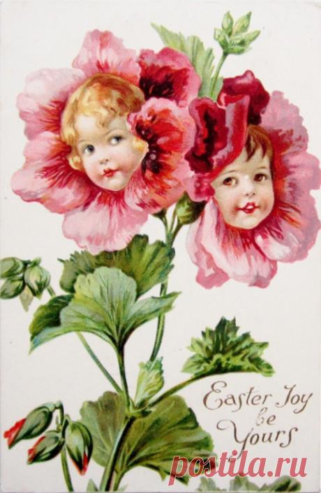 (9) Gallery.ru / Фото #45 - Цветочные фантазии в старинных открытках - lenadep