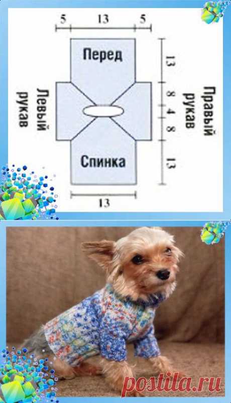 Вязанный джемпер для собаки