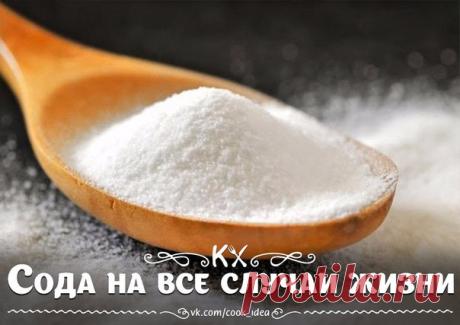 Павел Рябов
