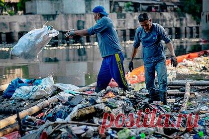 Переработанный пластик оказался токсичным. Организация Greenpeace, деятельность которой признана нежелательной в России, заметила опасность для планеты в переработке пластика. Изначально мера считалась одной из тех, которые могут способствовать спасению планеты от последствий изменения климата. Об этом сообщает The Guardian.