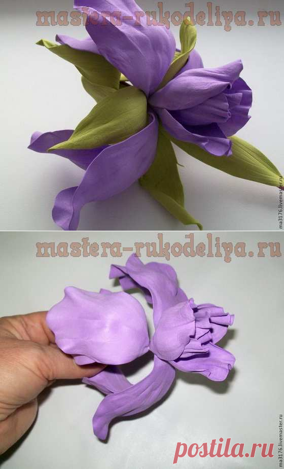 Мастер-класс по цветам из фоамирана: Нежный ирис