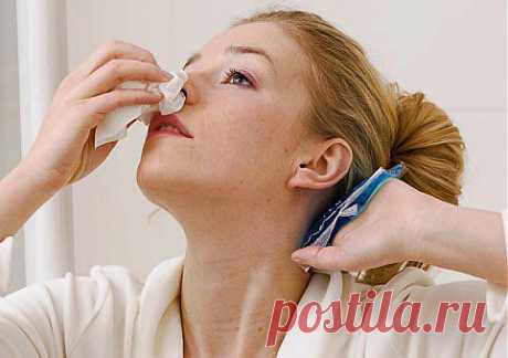 Останавливаем носовое кровотечение | Хитрости жизни