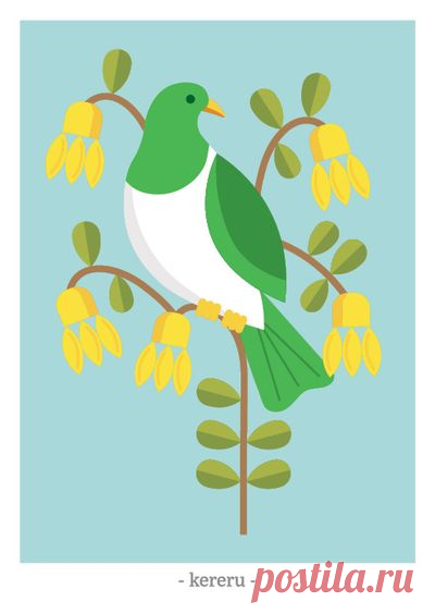 Ekara Postcard of Kererū with code 0CC