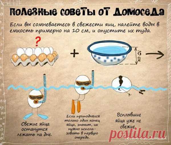 Фотографии zoja simonova - 6136 фото в Моем Мире.