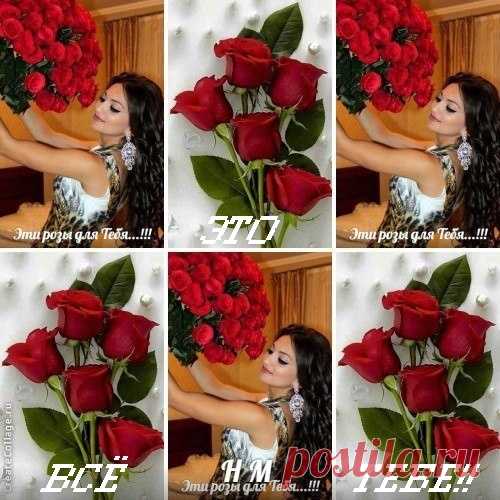 Архив открыток отправленных 12 Апреля 2016 года. Добавили: Светлана С , Клара Ведлер, Саныч Фромм, Леонора Елена Пере, Сергей Мусаев, Татьяна Пономарева, Алла Васильева