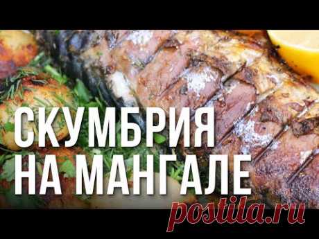 Скумбрия на мангале