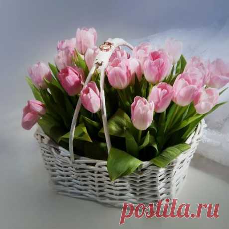 (3) Группы | Facebook