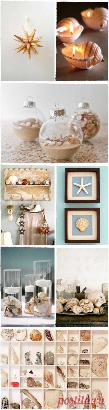 Как использовать ракушки, привезенные с отдыха