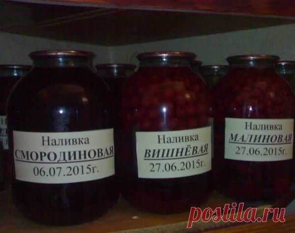 Домашняя фруктовая, ягодная наливочка