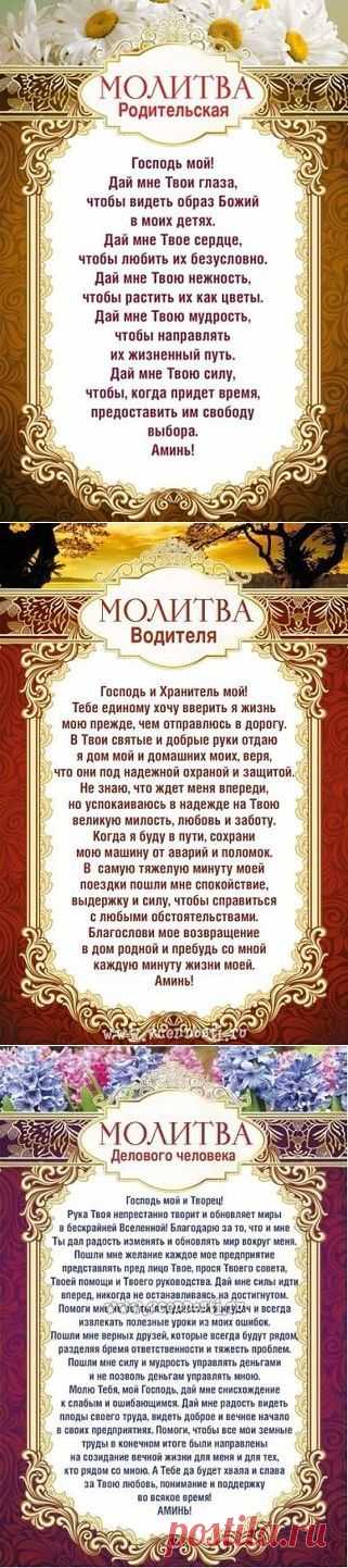 (22) Одноклассники