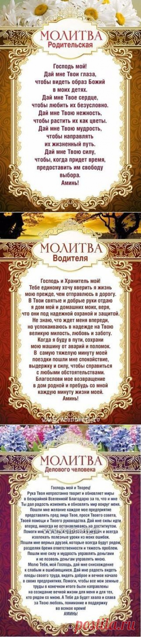 (22) Одноклассники
