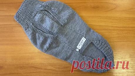 PETLIBURG | Дзен