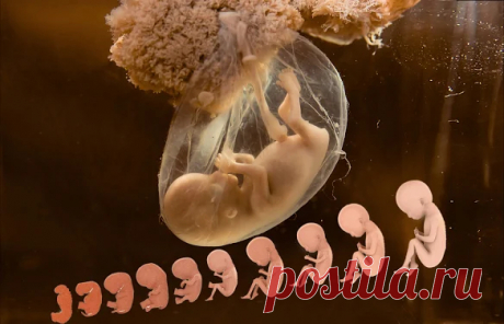 Елена Посявина - Google+