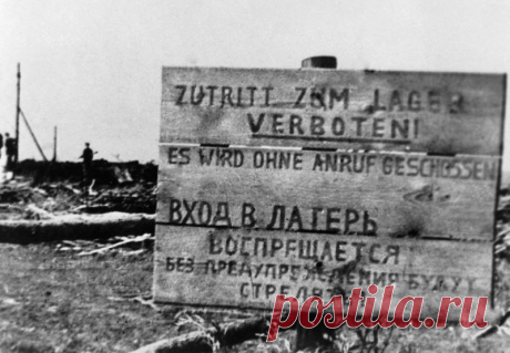 Нацистская директива по разграблению СССР и уничтожению десятков миллионов советских граждан впервые полностью опубликована на русском языке Сегодня, в 82-ю годовщину начала Великой Отечественной войны, годовщину вторжения немецко-фашистских войск на территорию Советского Союза, впервые на русском языке опубликован так называемый план Бакке. Это экономическая директива сельскохозяйственной группы штаба по экономике нацистской Германии,