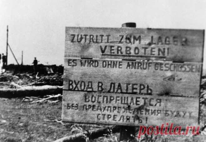 Нацистская директива по разграблению СССР и уничтожению десятков миллионов советских граждан впервые полностью опубликована на русском языке Сегодня, в 82-ю годовщину начала Великой Отечественной войны, годовщину вторжения немецко-фашистских войск на территорию Советского Союза, впервые на русском языке опубликован так называемый план Бакке. Это экономическая директива сельскохозяйственной группы штаба по экономике нацистской Германии,
