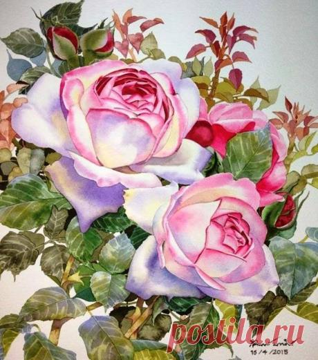 Интересные новости