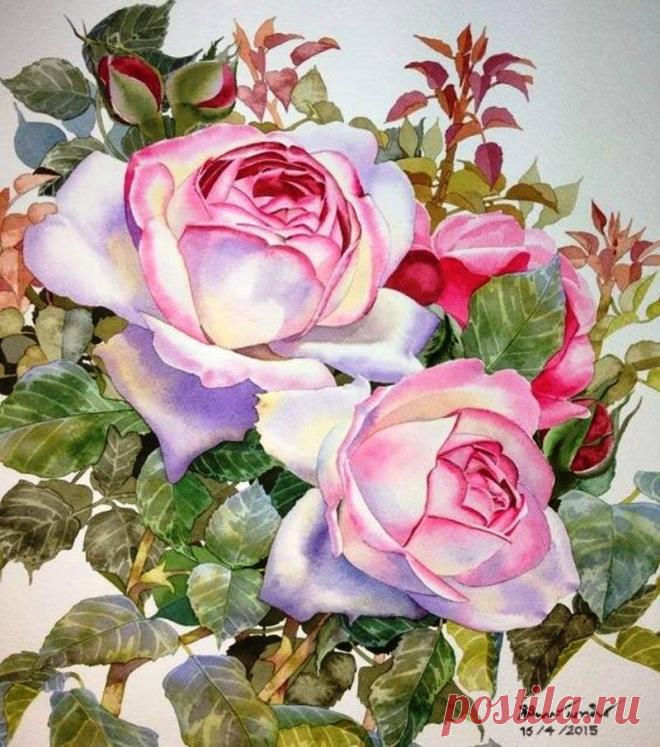 Интересные новости