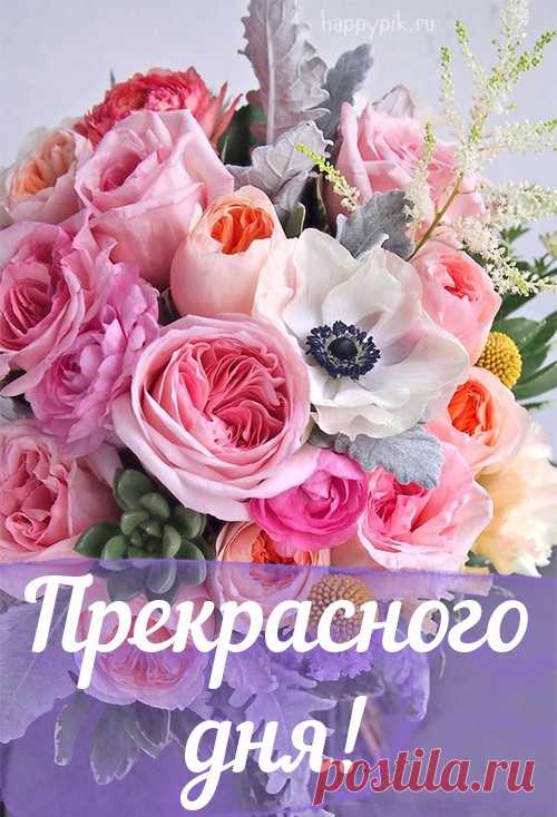 Хорошего дня картинки. Более 50 открыток хорошего дня.