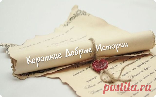 12 добрых и смешных историй из жизни!