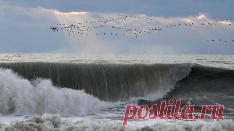 В Туапсе предупредили о шестиметровых волнах в Черном море