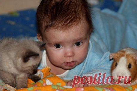 Мой Мир@Mail.Ru