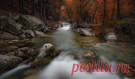 Фото-монстр - Хроника