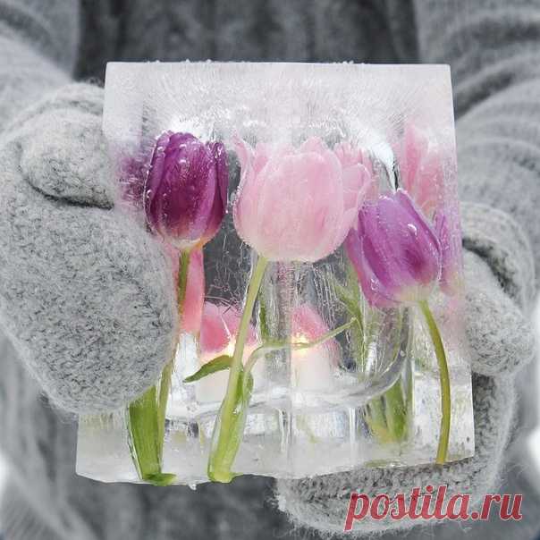 Я верю в волшебство хороших мыслей, которые можно вызывать в любой момент. Для этого достаточно встряхнуть свою личную копилку с дорогими сердцу моментами, и вытащить оттуда наугад что-то пронзительно яркое, и по-прежнему живое для души.

= Лиля Град =