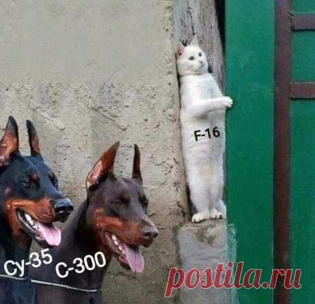 Спустя две недели... https://seoded.livejournal.com/1334397.html