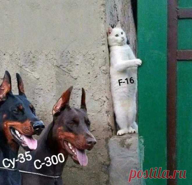 Спустя две недели... https://seoded.livejournal.com/1334397.html