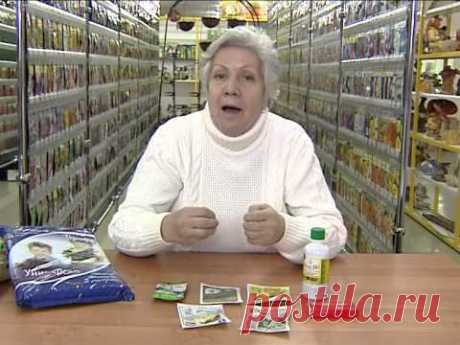 Советы тети Тани. Рассада цветов.