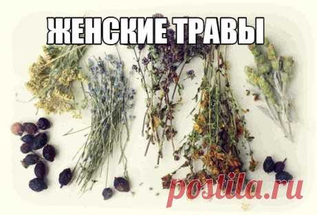 ЖЕНСКИЕ ТРАВЫ 

Чтобы сохранить молодость, женственность, привлекательность и хорошее настроение, не обязательно пить "химию". Наша природа чрезвычайно богата растениями и травами, которые в народе именуют "женскими". Они то и помогают женщинам и девушкам решать проблемы со здоровьем и устранять различные недомогания не хуже дорогих пилюль.

Какие травы полезны для женского здоровья читайте в группе СИЛА ТРАВ »»