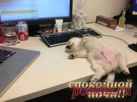 Ночь тиха и нежна, Светит Нам в ночи луна,- Месяц в озере сверкает... Доброй ночи - Вам желает! ...