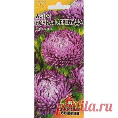 Астра Ночная серенада пионовидн Сорт с обильным цветением. Растения колонновидные, мощные, высотой 80 см, с прочными цветоносами. Соцветия пионовидные, фиолетовые, диаметром 8-10 см. Цветет сначала августа до заморозков. Предпочитает хорошо освещенные, защищенные от ветра участки.