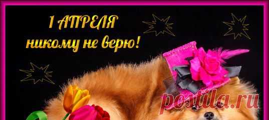 Савелий Хаустов
Очень любит наш народ Этот день веселый: 
Кто соседа подожжёт, Кто затопит школу. 
Веселитесь и шутите, Собирайте ерунду… 
Жалко, 1 апреля Отмечаем раз в году.  http://mmuzq.ru/muz/smeh2.html